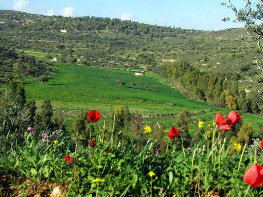 اجواء دافئة اليوم وغدا وحارة الخميس