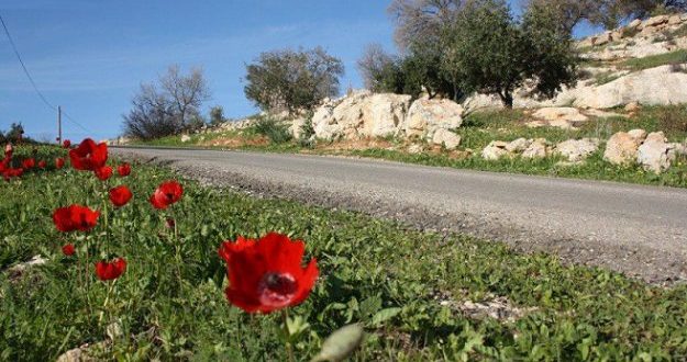 الطقس اليوم أجواء ربيعية دافئة