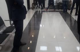 اجتهاد شخصي خاطئ وراء استخدام الكلاب البوليسية قبيل زيارة الرزاز لإربد