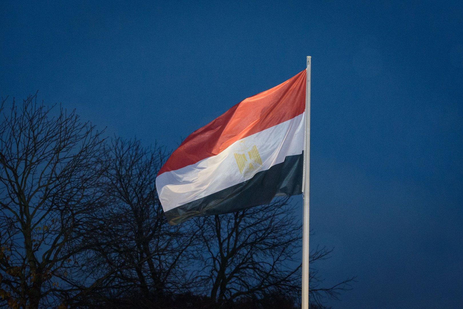 مستشار السيسي يحذر المصريين: الوباء لم ينته بعد