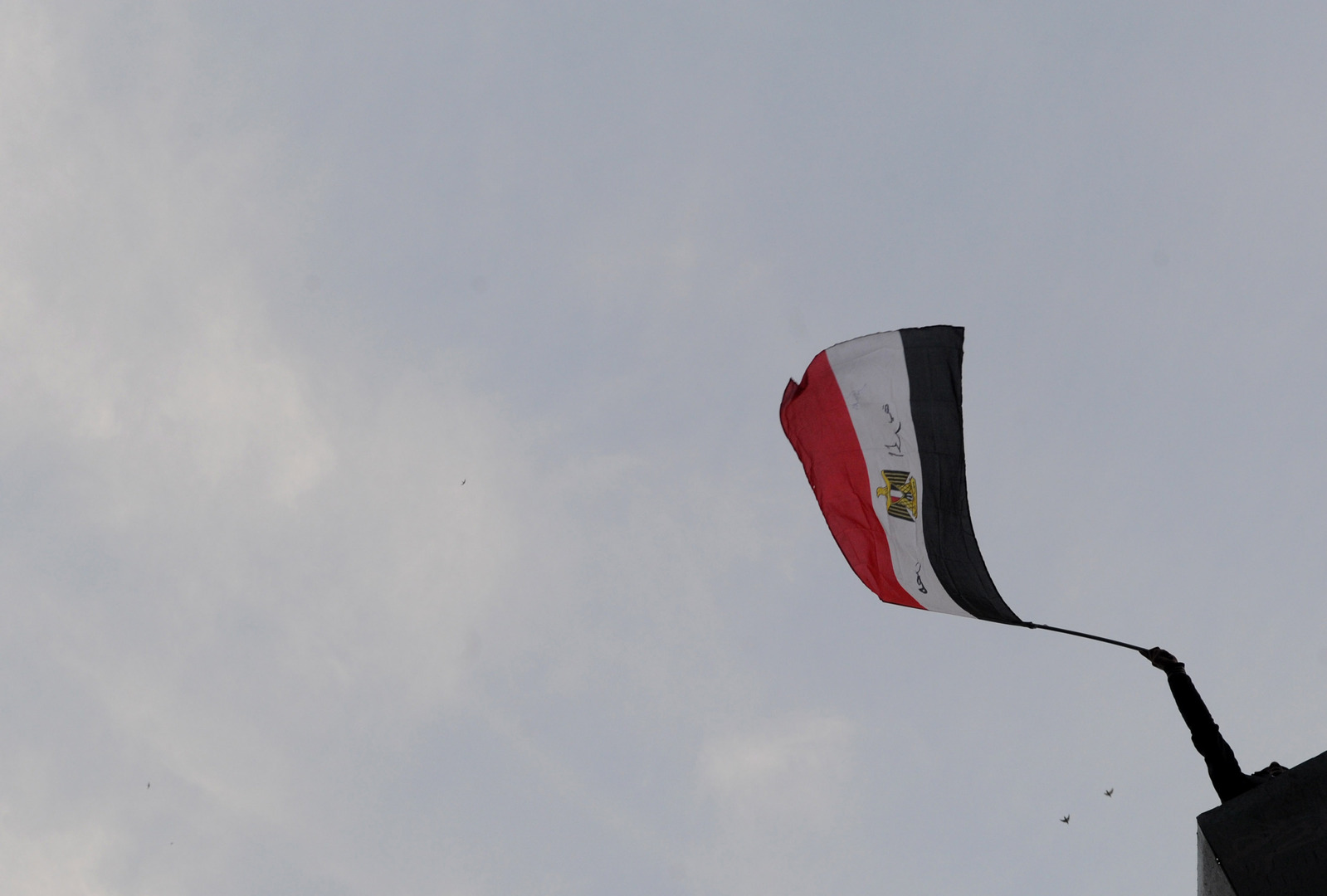 مصر.. السيسي يأمر بالإفراج عن عشرات النشطاء السياسيين بينهم محامي مشهور